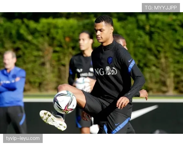 加克波为何是荷兰新前锋代表?从数据分析看价值发现与精准判断 加克波为何是荷兰新前锋代表?从数据分析看价值发现与精准判断